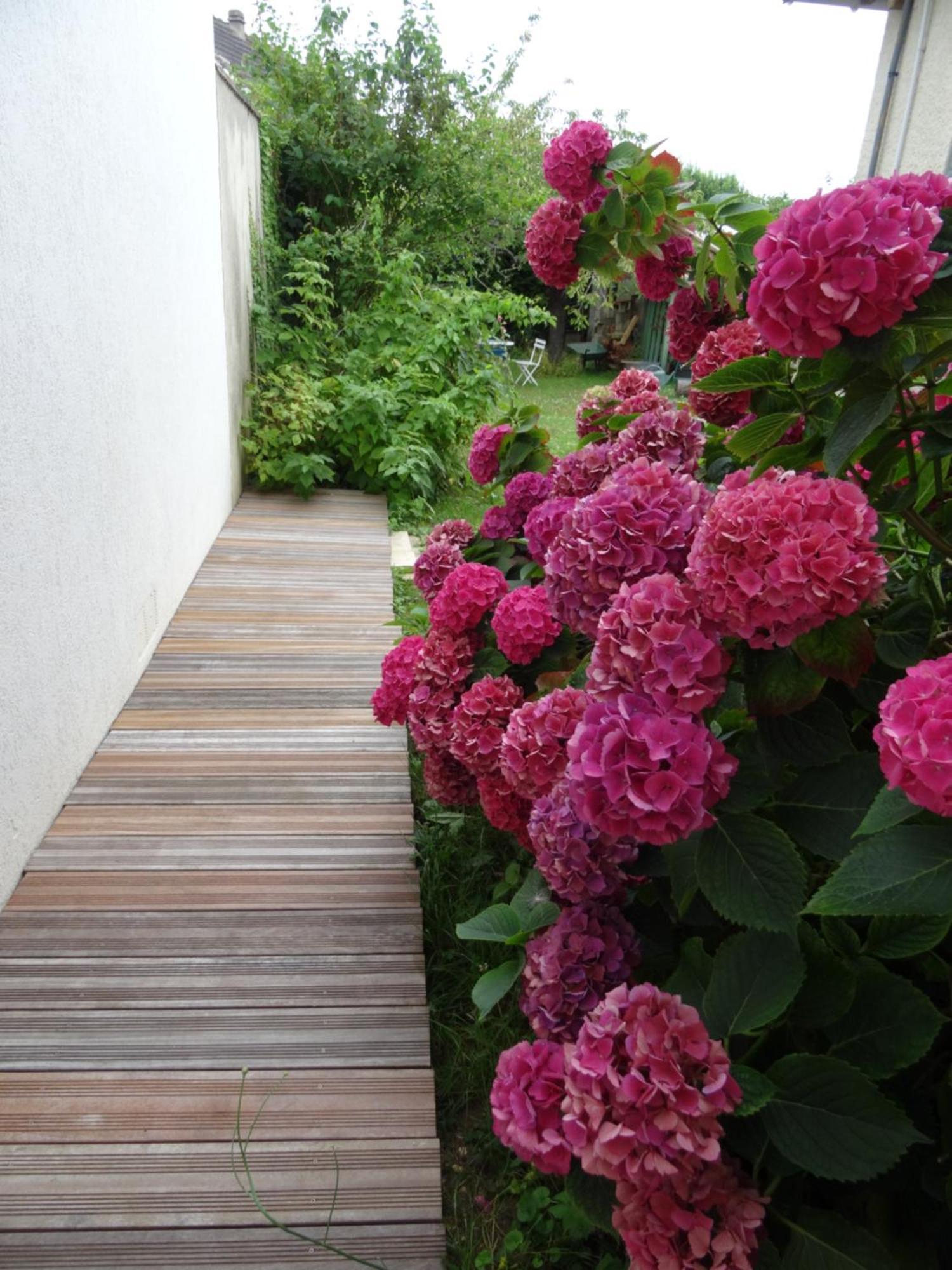 Maison D'Hotes Les Roses Tremieres Сакле Екстериор снимка